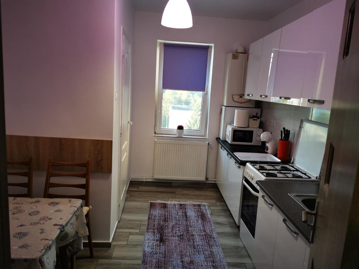 Violet Residence Târgu-Mureş Eksteriør bilde
